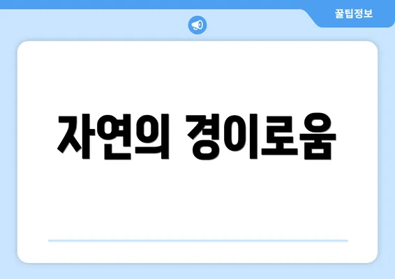 자연의 경이로움