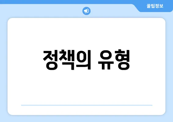 정책의 유형