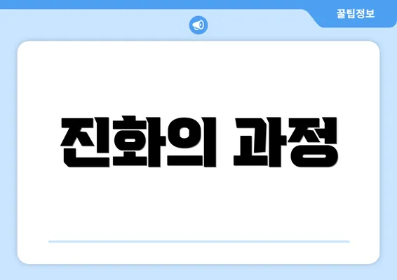 진화의 과정