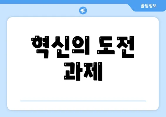 혁신의 도전 과제