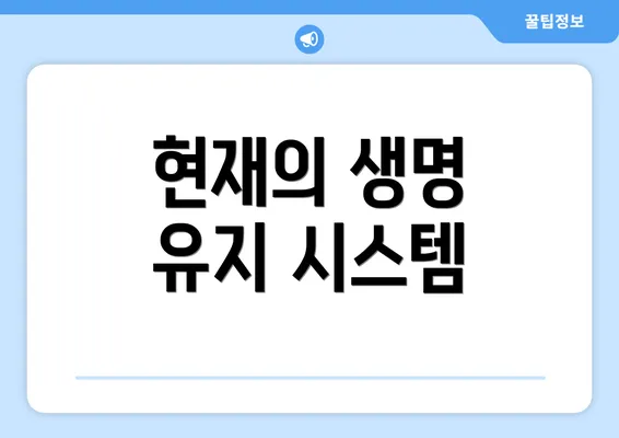 현재의 생명 유지 시스템