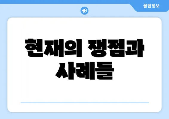 현재의 쟁점과 사례들