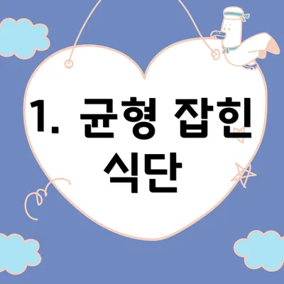 1. 균형 잡힌 식단