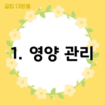 1. 영양 관리