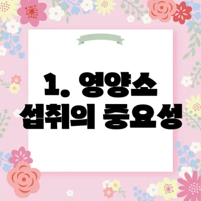 1. 영양소 섭취의 중요성