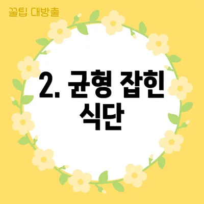 2. 균형 잡힌 식단