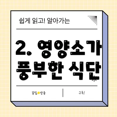 2. 영양소가 풍부한 식단