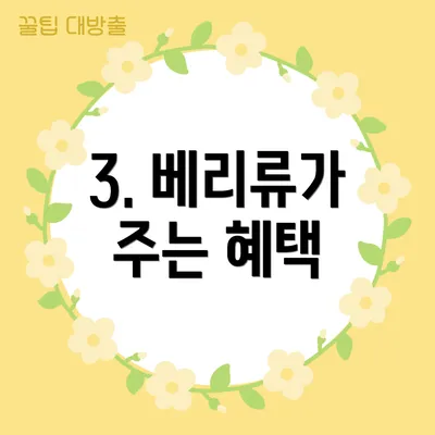 3. 베리류가 주는 혜택