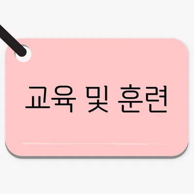 교육 및 훈련