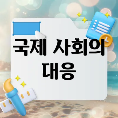 국제 사회의 대응