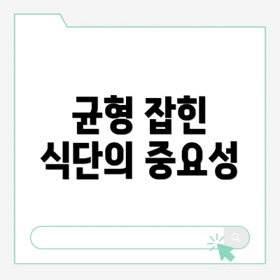 균형 잡힌 식단의 중요성