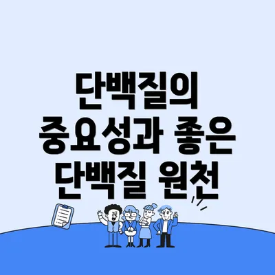 단백질의 중요성과 좋은 단백질 원천