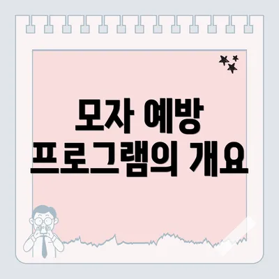 모자 예방 프로그램의 개요