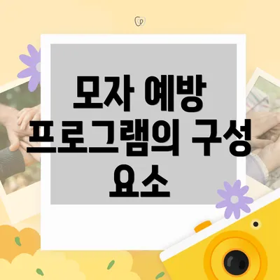 모자 예방 프로그램의 구성 요소