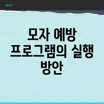 모자 예방 프로그램의 실행 방안