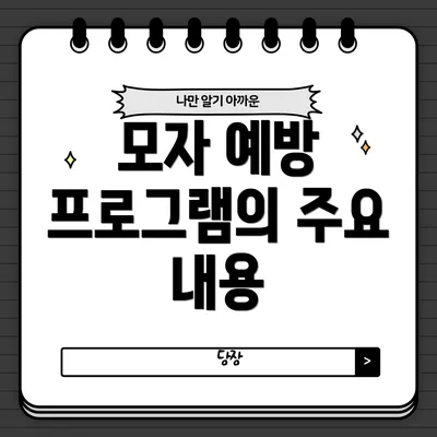 모자 예방 프로그램의 주요 내용