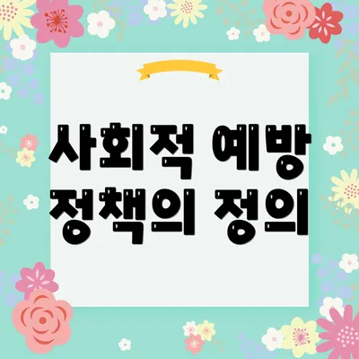 사회적 예방 정책의 정의