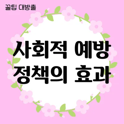 사회적 예방 정책의 효과