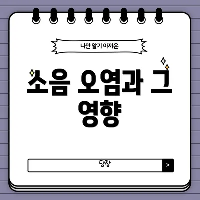 소음 오염과 그 영향