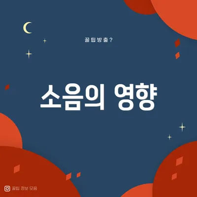 소음의 영향