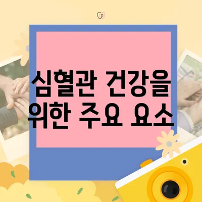 심혈관 건강을 위한 주요 요소