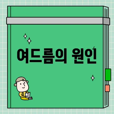 여드름의 원인