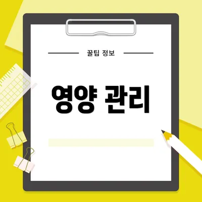 영양 관리