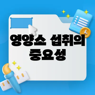 영양소 섭취의 중요성