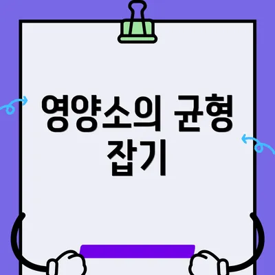 영양소의 균형 잡기