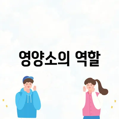 영양소의 역할