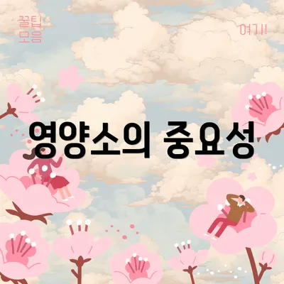영양소의 중요성