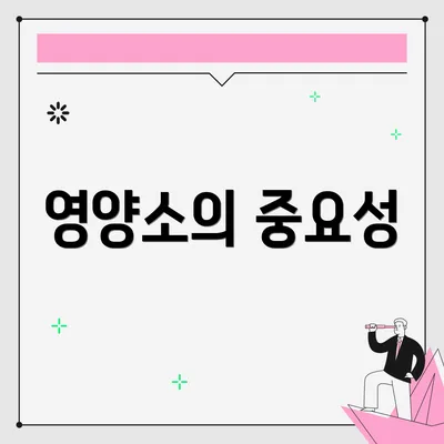 영양소의 중요성