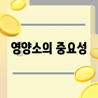 영양소의 중요성
