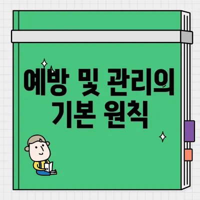 예방 및 관리의 기본 원칙