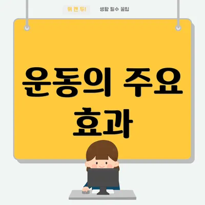 운동의 주요 효과