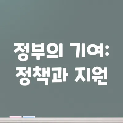 정부의 기여: 정책과 지원