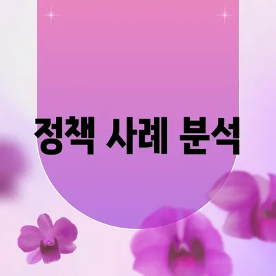 정책 사례 분석