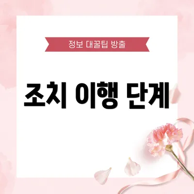 조치 이행 단계