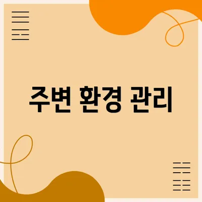 주변 환경 관리