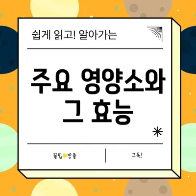 주요 영양소와 그 효능