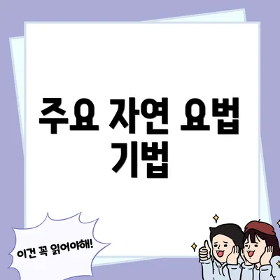 주요 자연 요법 기법