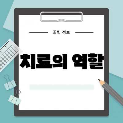 치료의 역할