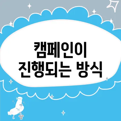 캠페인이 진행되는 방식