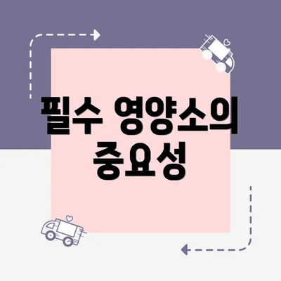 필수 영양소의 중요성