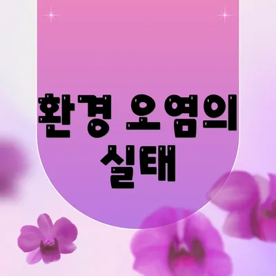 환경 오염의 실태