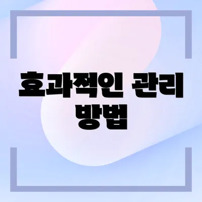 효과적인 관리 방법