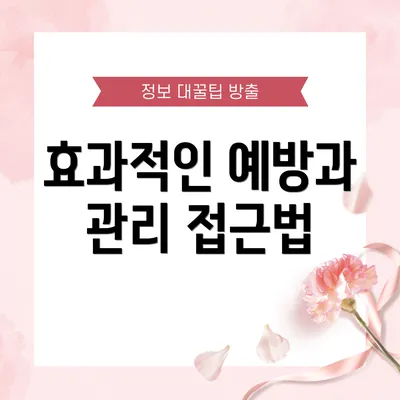 효과적인 예방과 관리 접근법