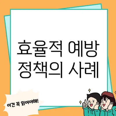 효율적 예방 정책의 사례