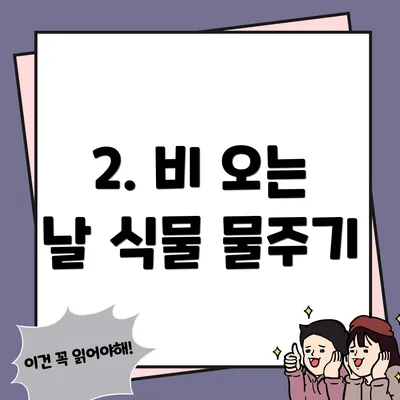 2. 비 오는 날 식물 물주기