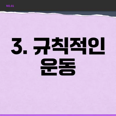 3. 규칙적인 운동